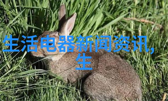 美国法院裁定字节跳动出示软件部分源代码